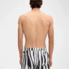Strój kąpielowy Puntini Szorty kąpielowe z nadrukiem Zebra Arty